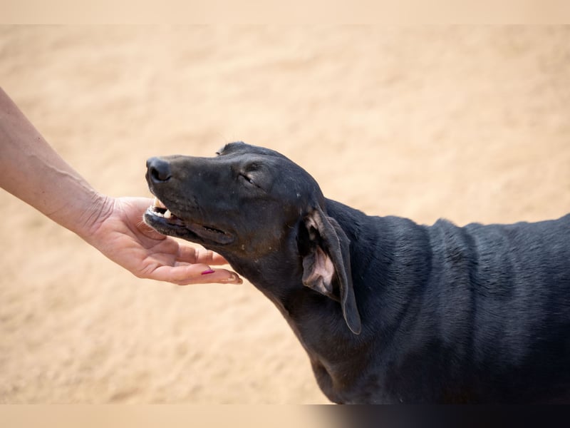 Mereda - aktiv und liebevoll