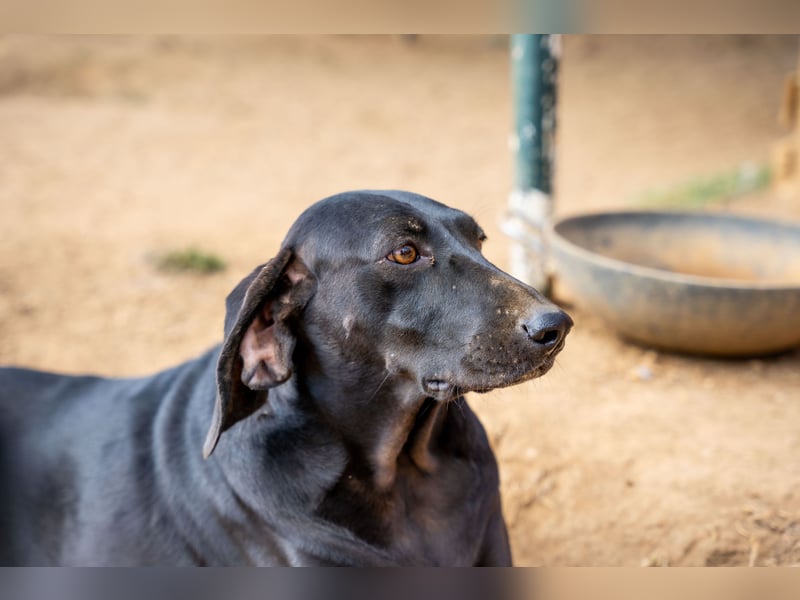Mereda - aktiv und liebevoll