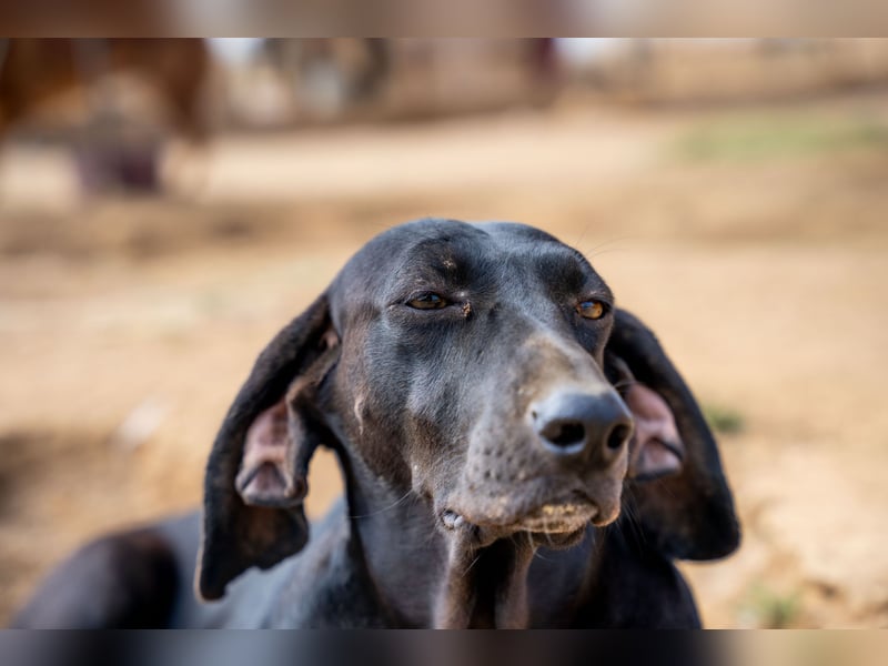 Mereda - aktiv und liebevoll