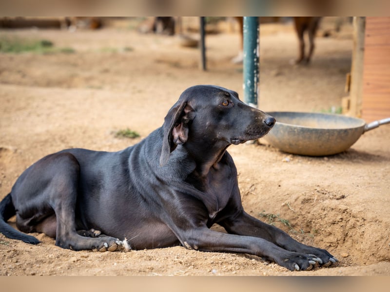 Mereda - aktiv und liebevoll