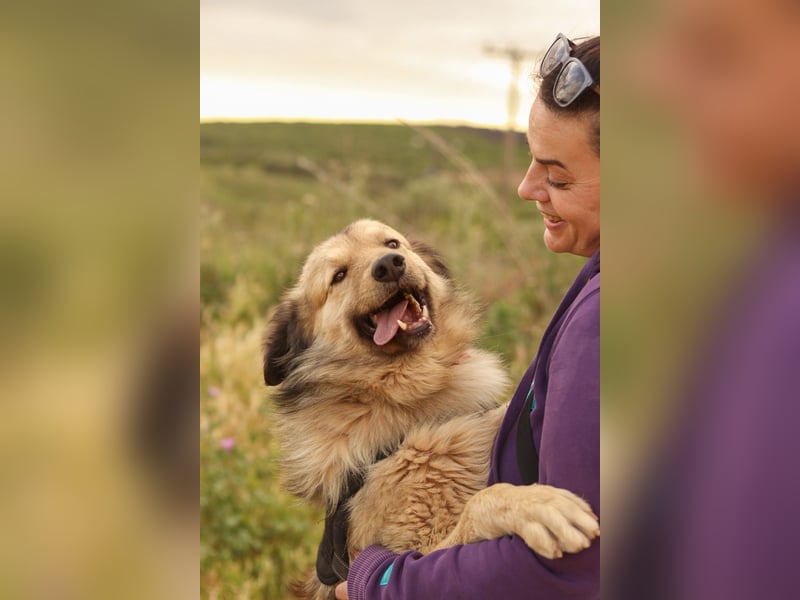 Ringo - der Charmeur