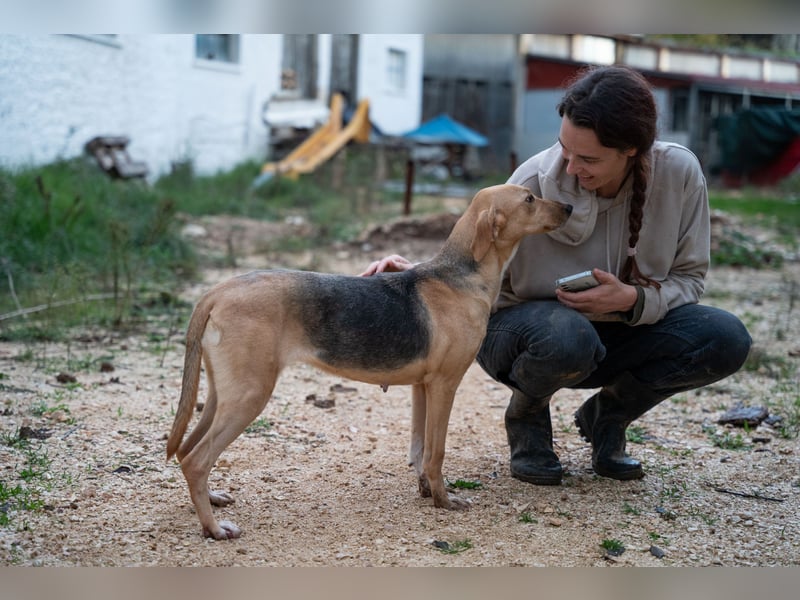 Koda - sanft und liebevoll