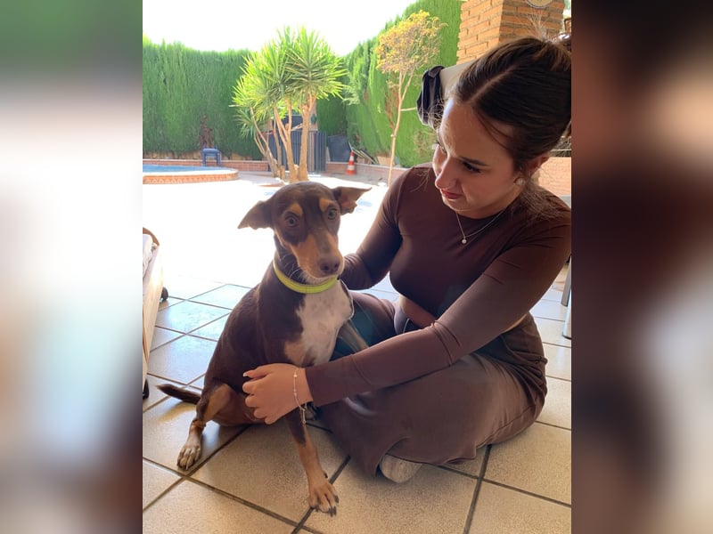 LEMON sucht das Glück