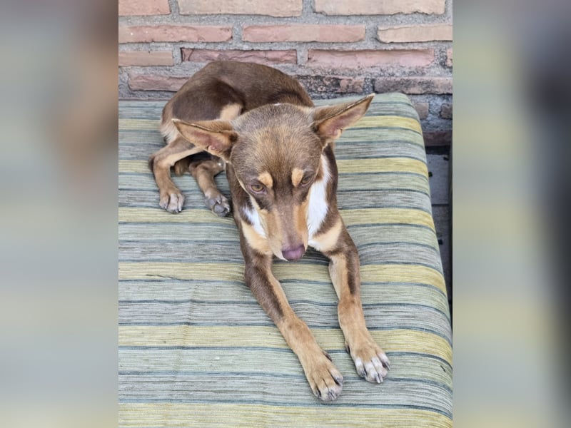 LEMON sucht das Glück