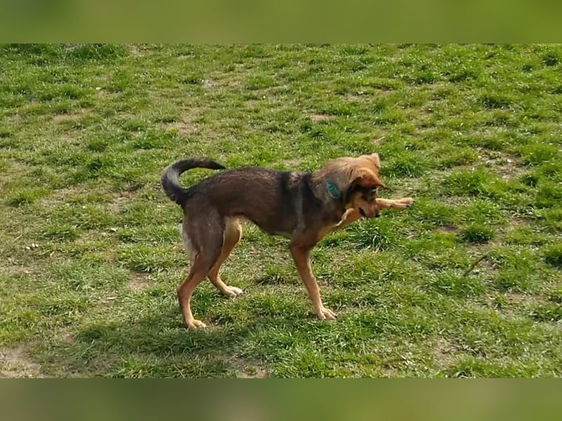 KINUSHI soll endlich entgültig ankommen