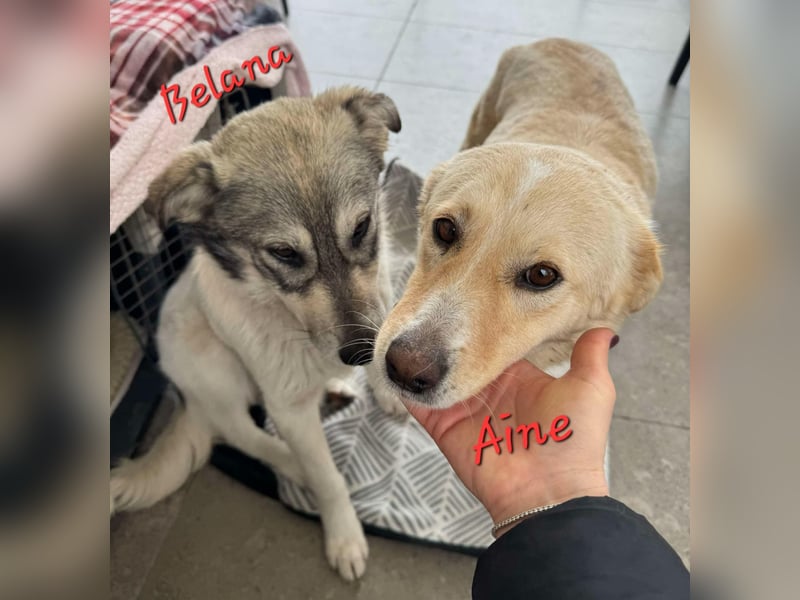 AINE & BELANA - die Unzertrennlichen