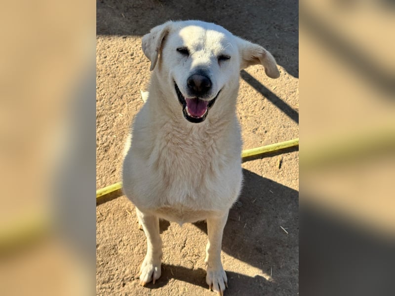 ARIMA sucht ihren Platz für's Leben