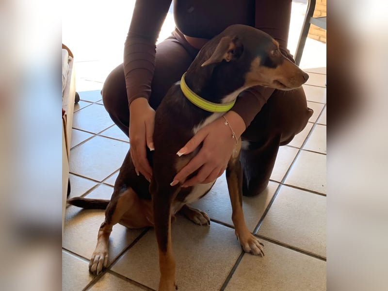 LEMON sucht das Glück