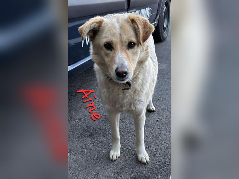 AINE & BELANA - die Unzertrennlichen