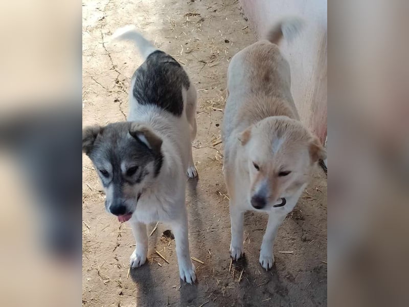 AINE & BELANA - die Unzertrennlichen