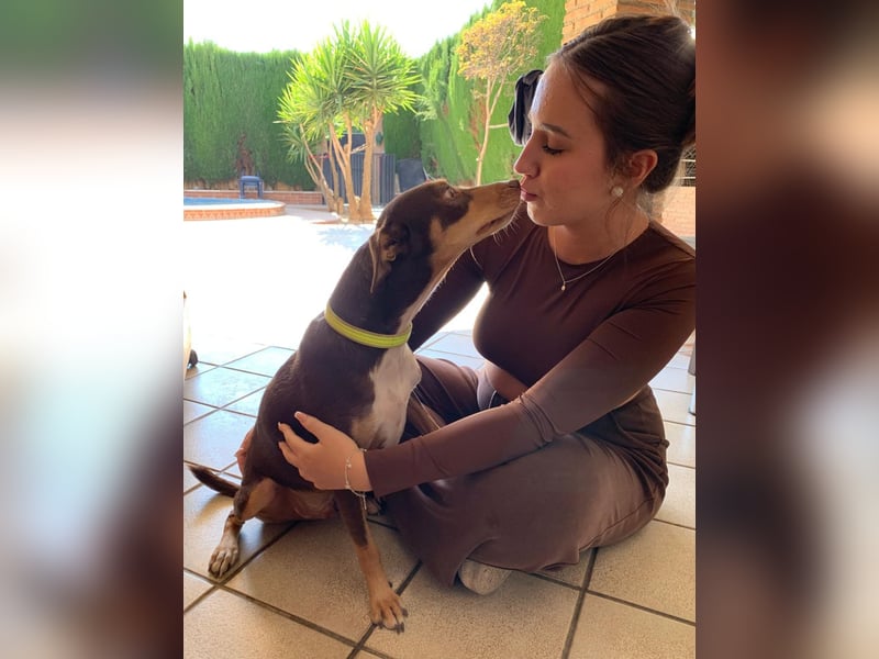 LEMON sucht das Glück