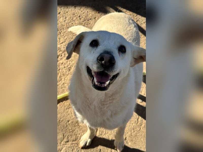 ARIMA sucht ihren Platz für's Leben