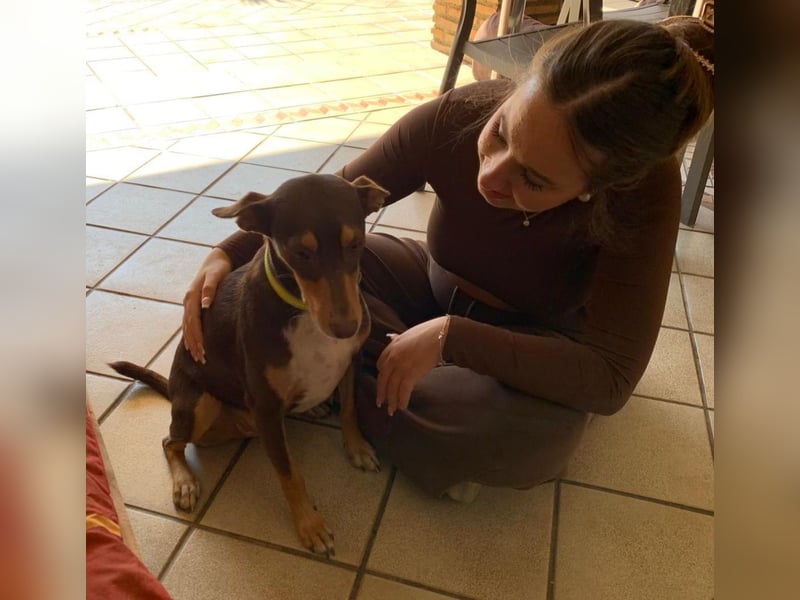 LEMON sucht das Glück