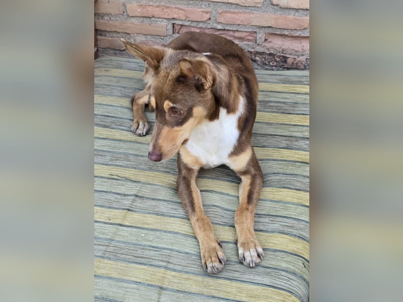 LEMON sucht das Glück