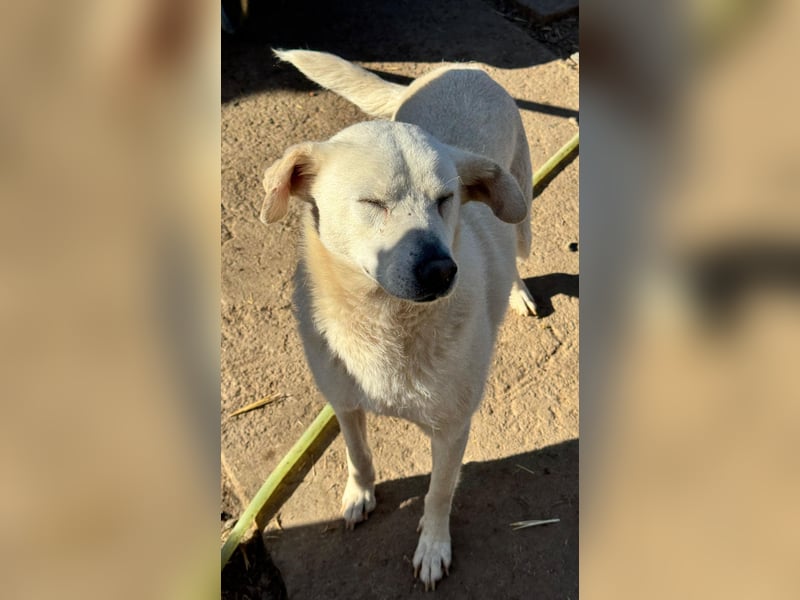 ARIMA sucht ihren Platz für's Leben