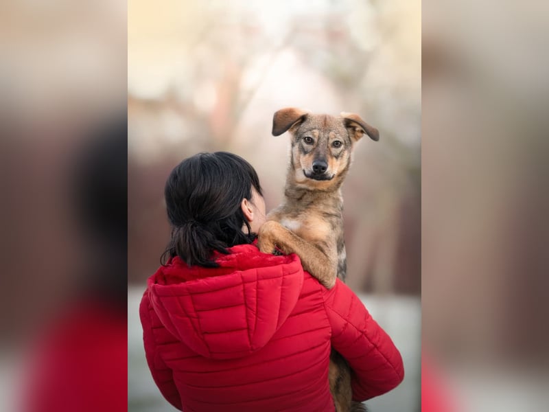 KINUSHI soll endlich entgültig ankommen