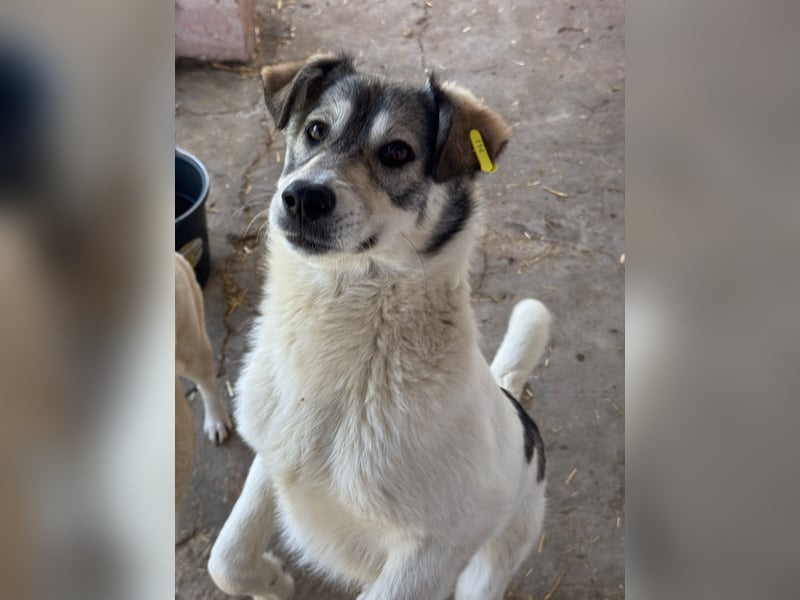 AINE & BELANA - die Unzertrennlichen