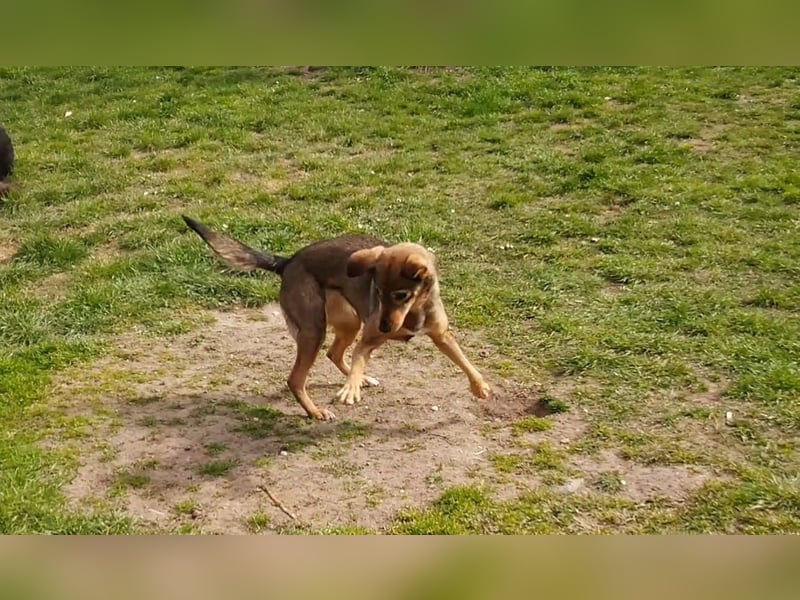 KINUSHI soll endlich entgültig ankommen