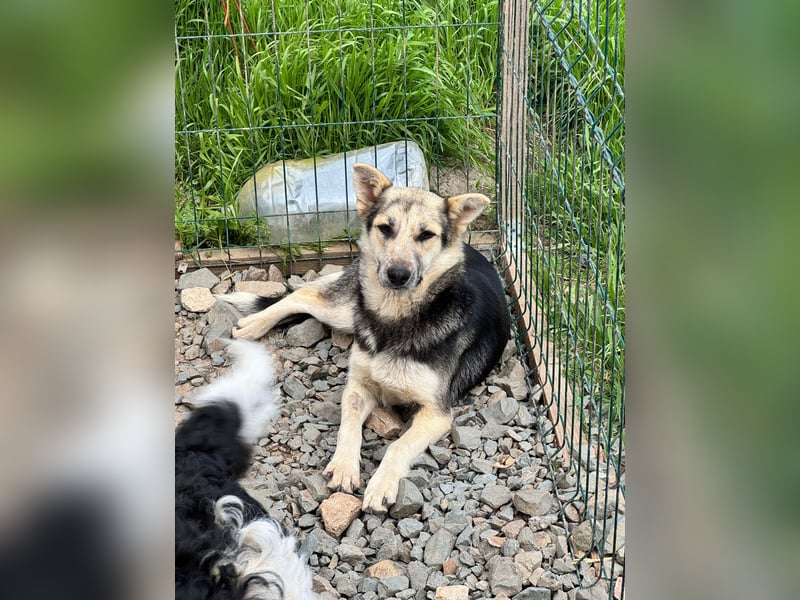 MALAIKA - manche Engel haben Flügel