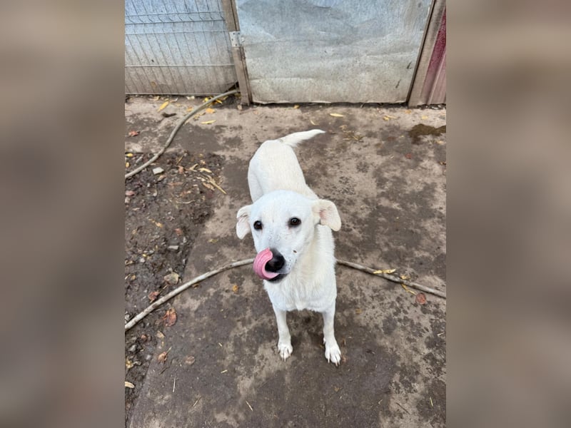 ARIMA sucht ihren Platz für's Leben