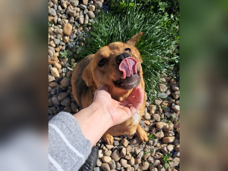 CREAMY wartet auf ihre Menschen