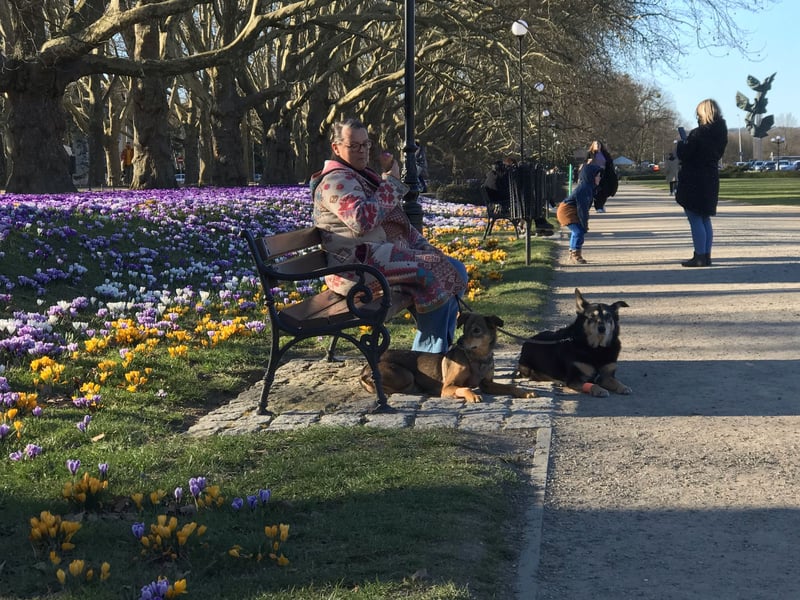 KINUSHI soll endlich entgültig ankommen