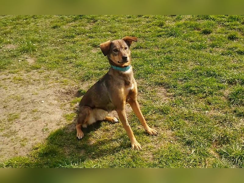 KINUSHI soll endlich entgültig ankommen