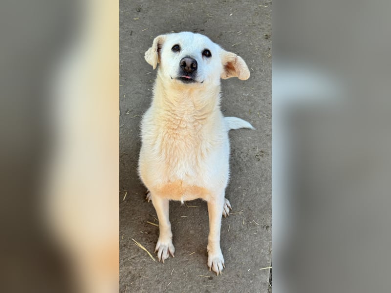 ARIMA sucht ihren Platz für's Leben