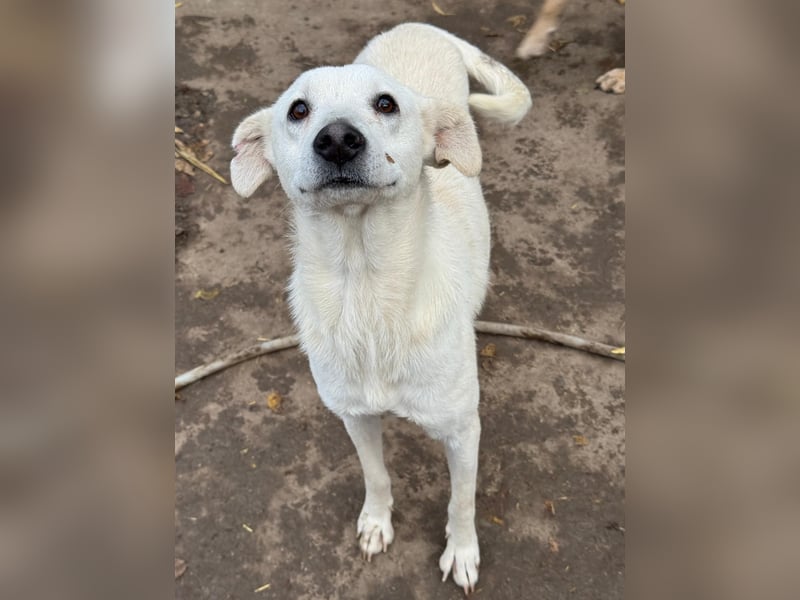 ARIMA sucht ihren Platz für's Leben