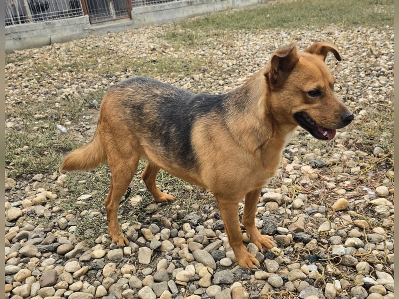 CREAMY wartet auf ihre Menschen