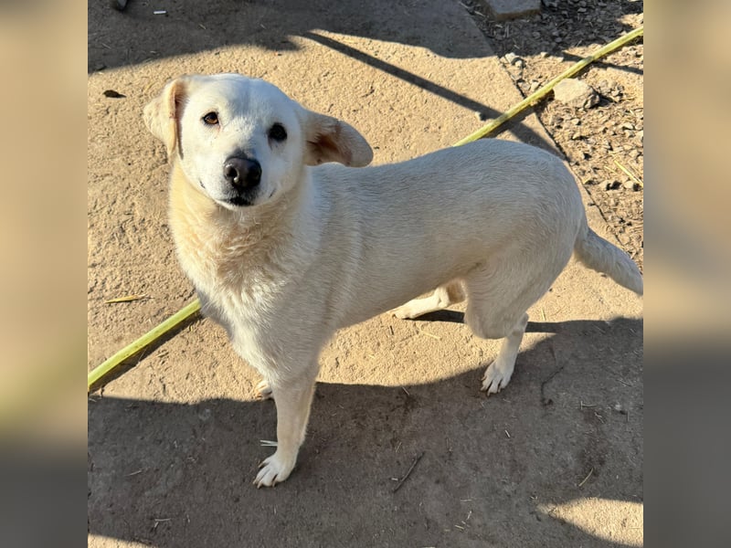 ARIMA sucht ihren Platz für's Leben