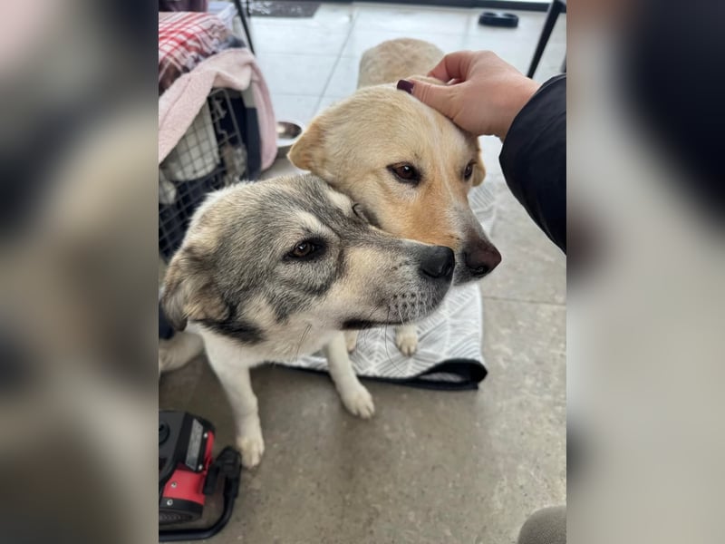 AINE & BELANA - die Unzertrennlichen