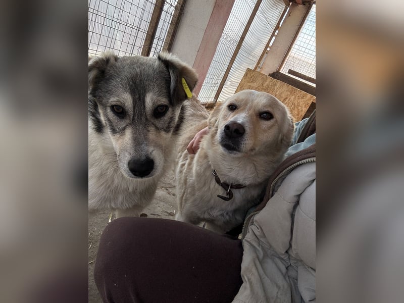 AINE & BELANA - die Unzertrennlichen