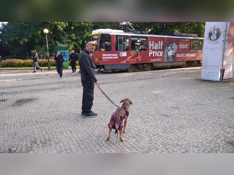 KINUSHI soll endlich entgültig ankommen