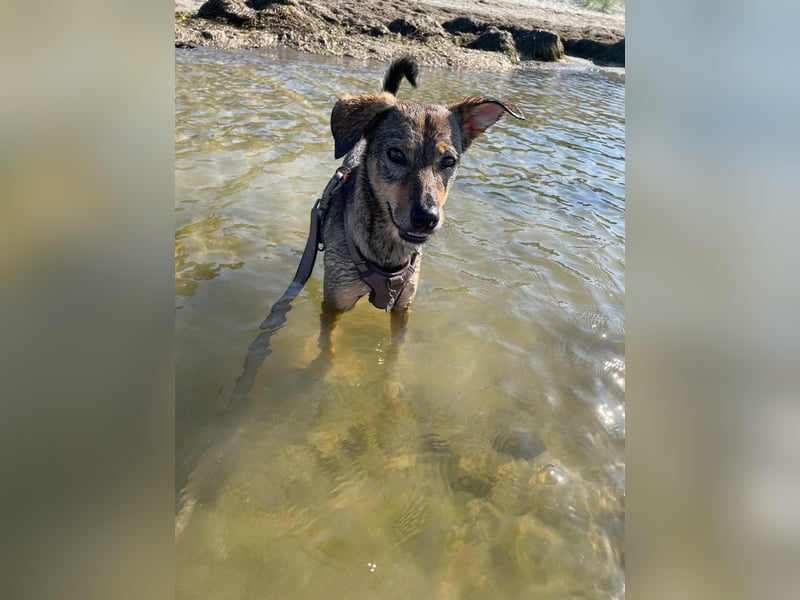 KINUSHI soll endlich entgültig ankommen