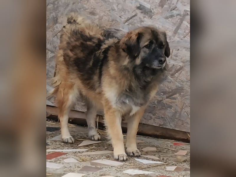 LISA wartet auf ihre Menschen...