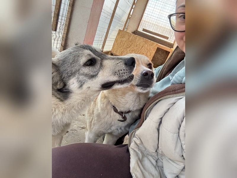 AINE & BELANA - die Unzertrennlichen