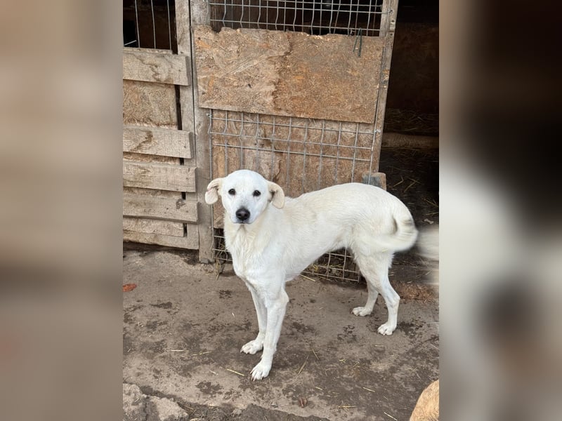 ARIMA sucht ihren Platz für's Leben