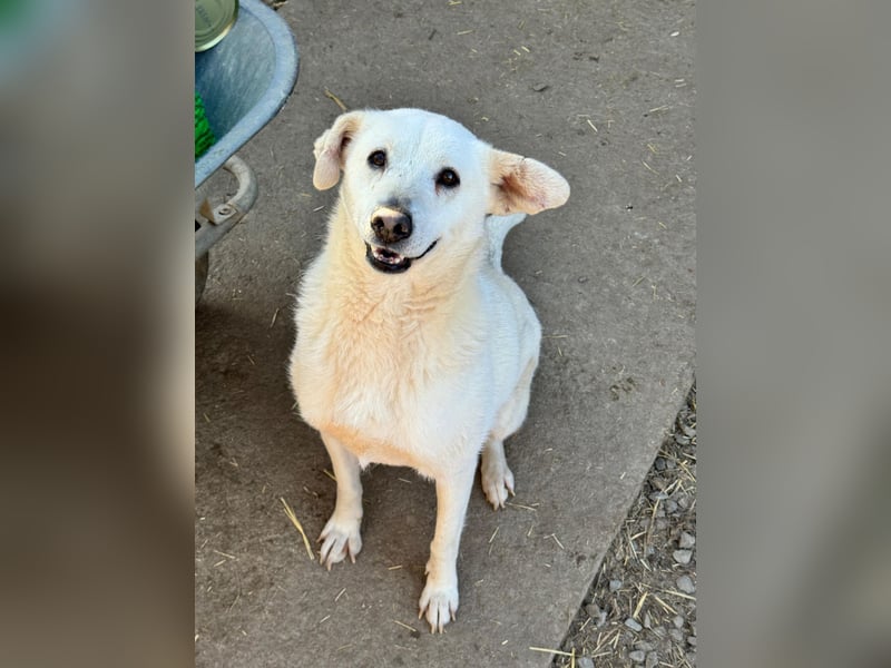ARIMA sucht ihren Platz für's Leben