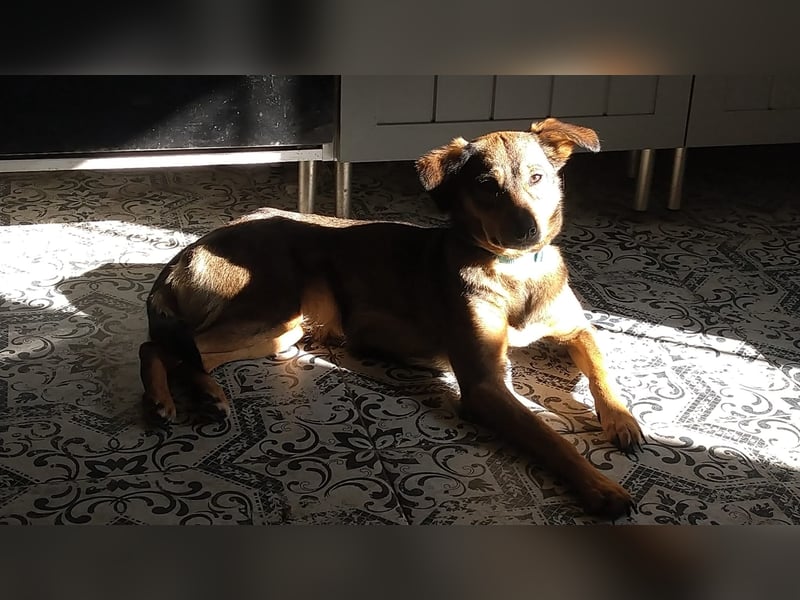 KINUSHI soll endlich entgültig ankommen