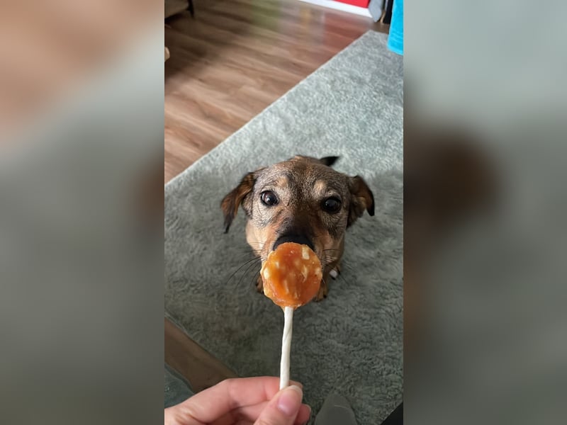 KINUSHI soll endlich entgültig ankommen