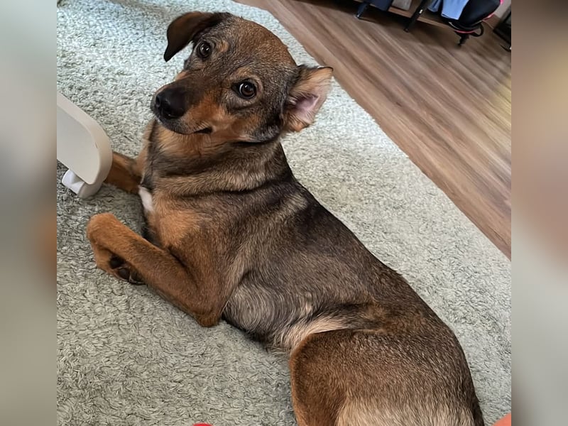 KINUSHI soll endlich entgültig ankommen