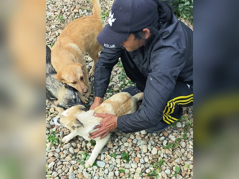 LEILA sucht eine Familie