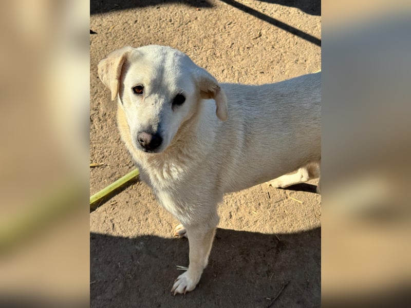 ARIMA sucht ihren Platz für's Leben