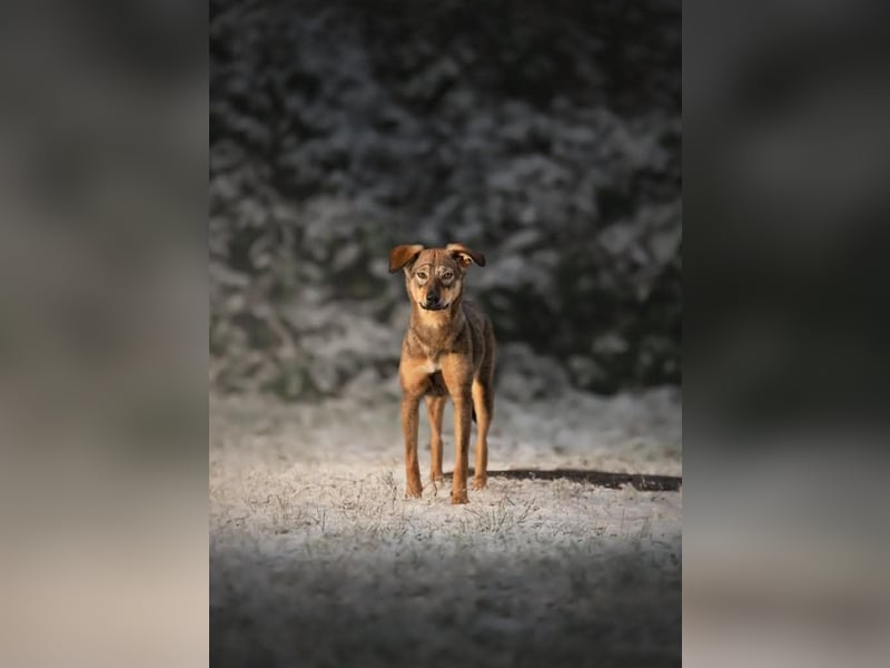 KINUSHI soll endlich entgültig ankommen