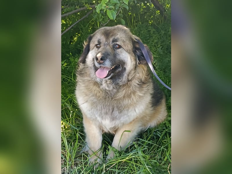 LISA wartet auf ihre Menschen...