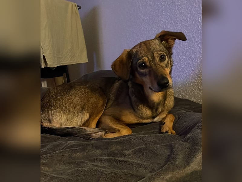 KINUSHI soll endlich entgültig ankommen