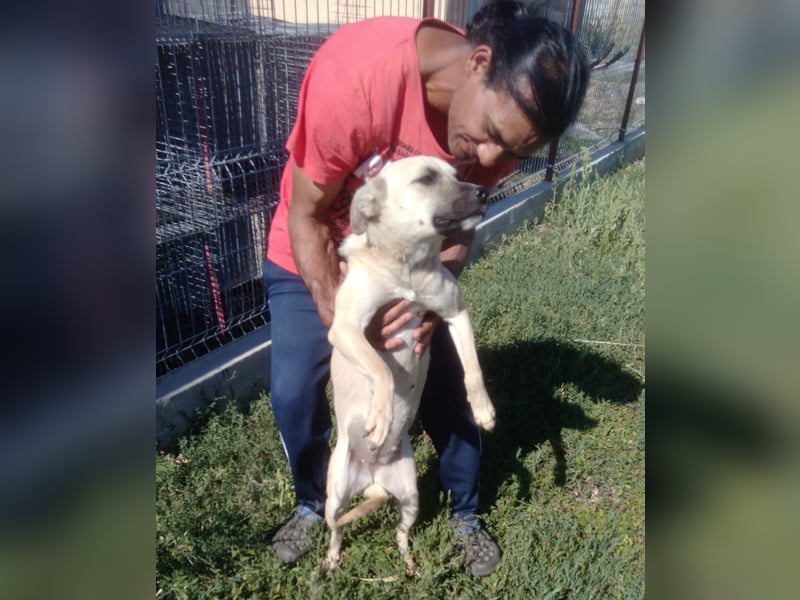 MAXI sucht Familienanschluss