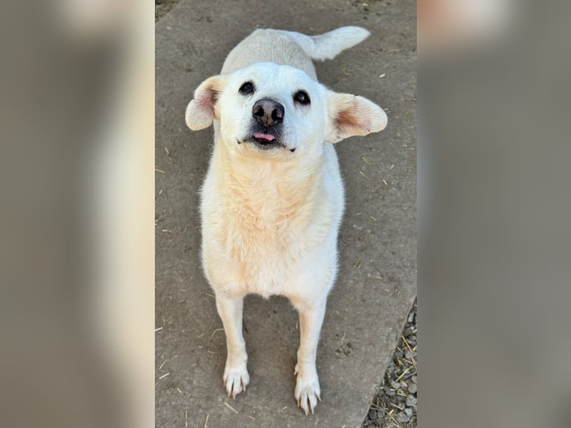 ARIMA sucht ihren Platz für's Leben