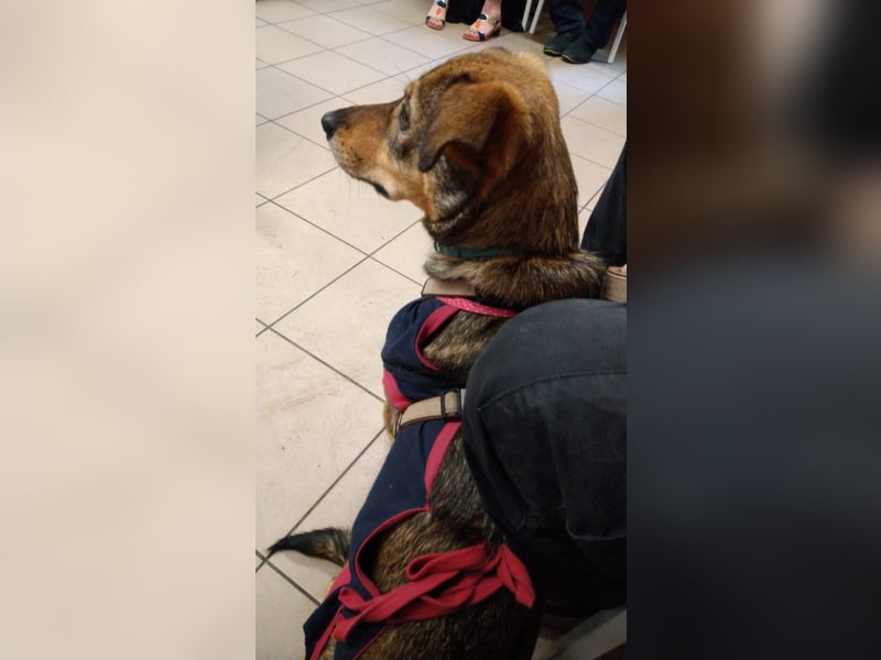 KINUSHI soll endlich entgültig ankommen